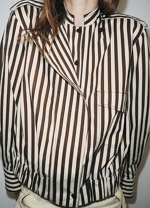 Смугаста сорочка zw collection