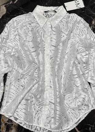 Блуза , сорочка zara біла прозора s