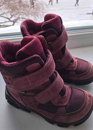 Сапожки для дівчинки ecco