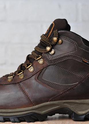 Черевики timberland mt. maddsen mid
