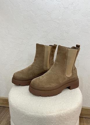 Замшеві челсі у відтінку camel