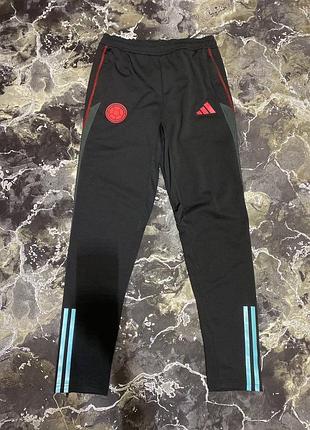 Спортивні штани