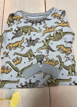 Реглан 2-4 года