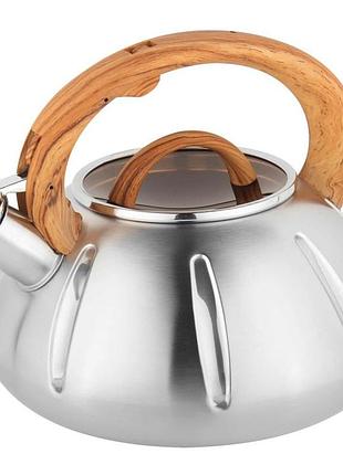 Чайник зі свистком для дому unique, чайник з нержавіючої сталі з бакелітовою ручкою ac-70