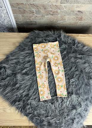 Лосіни в рубчик