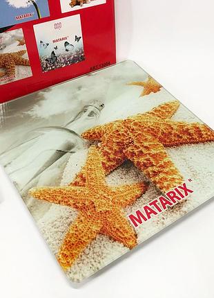Підлогова скляна вага морські зірки до 180кг