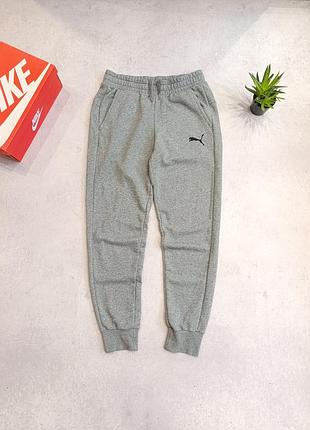 Спортивні сірі штани puma m