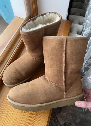 Зимові черевики уггі ugg