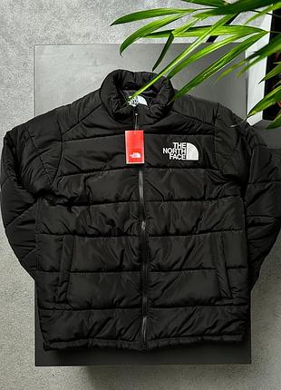 Пуховик the north face 700