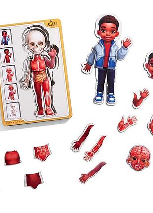 Сортер-пазл ubee "анатомия человека – мальчик - 3" деревянный 5 слойный псд262