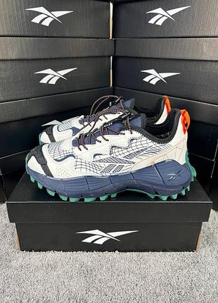 Reebok zig kinetica 2.5