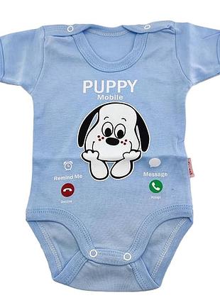 Боди 3, 6, 9 месяцев турция трикотажный для новорожденного на мальчика голубой (кдн53) 6 месяцев