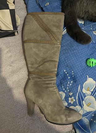 Сапоги замшевые осенние