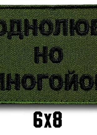 Шеврон "однолюб, но многоёб"