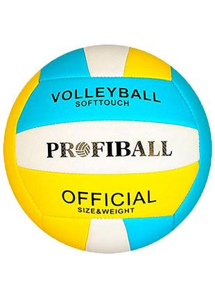 М'яч волейбольний en 3248 розмір 5 білий