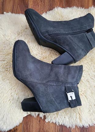 Черевики scholl з натуральної замші, 39 р