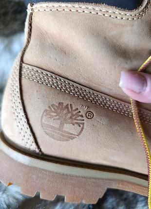 Черевики timberland 3