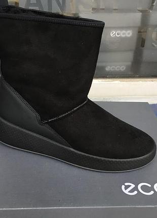 Чоботи жіночі зимові ecco ukiuk 221003 51052