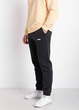 Спортивные штаны мужские на флисе, цвет грифельный, 1299a9998