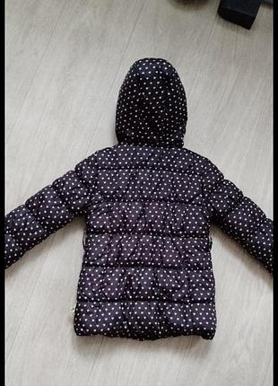 Куртка для дівчинки 4 роки подовжена 6