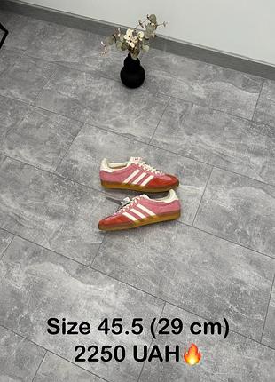 Кросівки adidas end