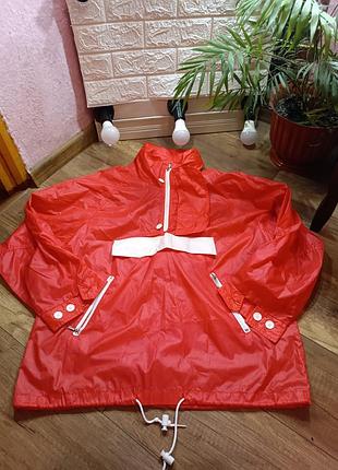 Вітровка чоловіча