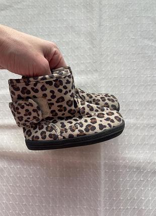 Тигрові чобітки, черевички h&m , hm