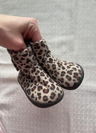 Тигрові чобітки, черевички h&m , hm 2