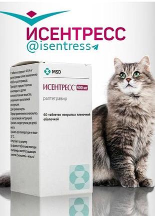 Исентресс релтагравир fip лейкемия короновирус