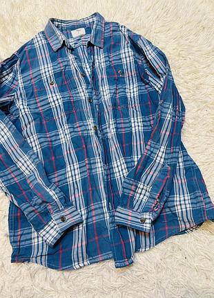 Блакитна сорочка в клітинку (л)