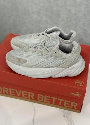 Кросівки adidas pp 34