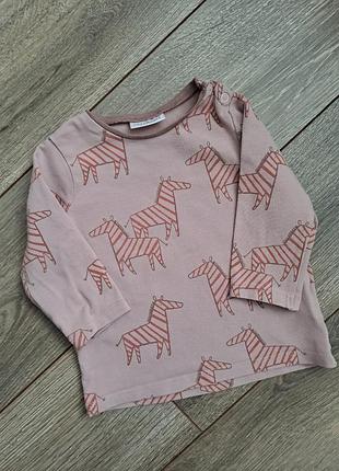 Детская кофта / футболка с длинным рукавом лонгслив next на 3-6 мес