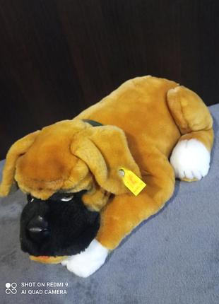 Собака , боксер, реалистичная, коллекционная, steiff , germany