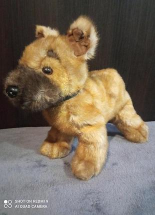 Собака, щенок, овчарка, реалистичная, ty