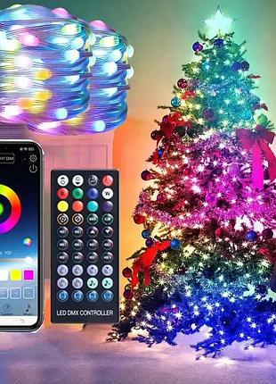 Вуличні вогні 3*10м smart bluetooth app control світлодіодна led гірлянда