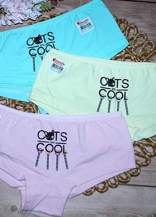 Набір 3 шт шортики напівшортики 14-15 зріст 158-164 донелла donella котик