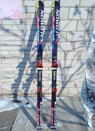 Лыжи горнолыжные