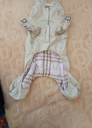 Комбінезон для собачки