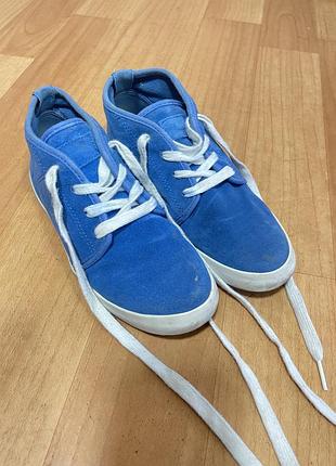 Сині дезерти 36 розміру