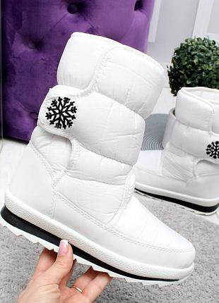 Білі дутики