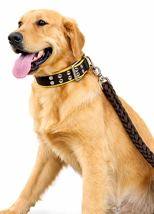 Ошейник с поводком 30-43см*130см нейлоновый для собак, коричневый