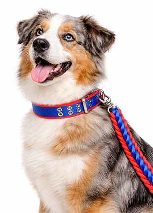Ошейник с поводком 48-61см*130см нейлоновый для собак, сине-красный