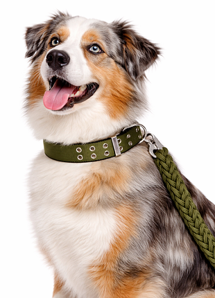Ошейник с поводком 48-61см*130см нейлоновый для собак, оливковый