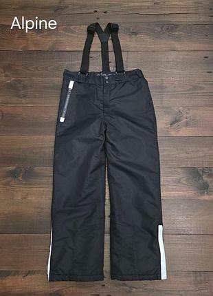 Детские лыжные штаны alpine оригинал