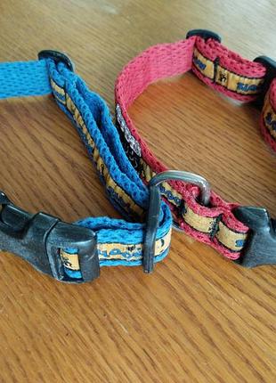 Спифи собака, ошейник для собак