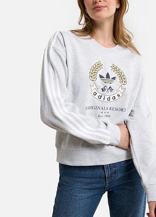 Сірий світшот adidas
