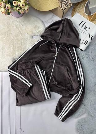 Жіночий спортивний повсякденний велюровий костюм двійка штани та кофта