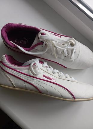 Кеды от бренда puma