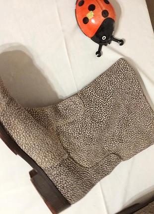 Жіночі сірі  чоботи з нубуку низький хід