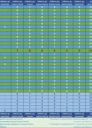 Сахарная свекла боа 1 кг 2